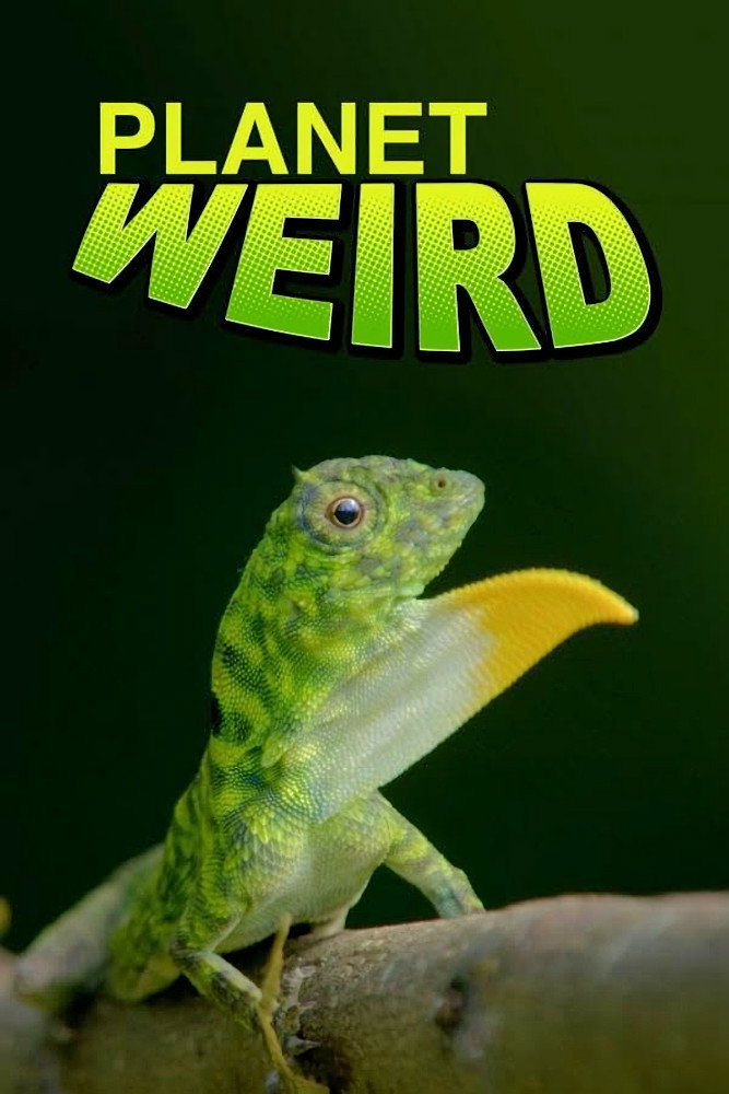 Planet Weird