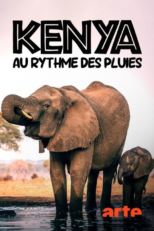 Kenia - Dem Regen hinterher