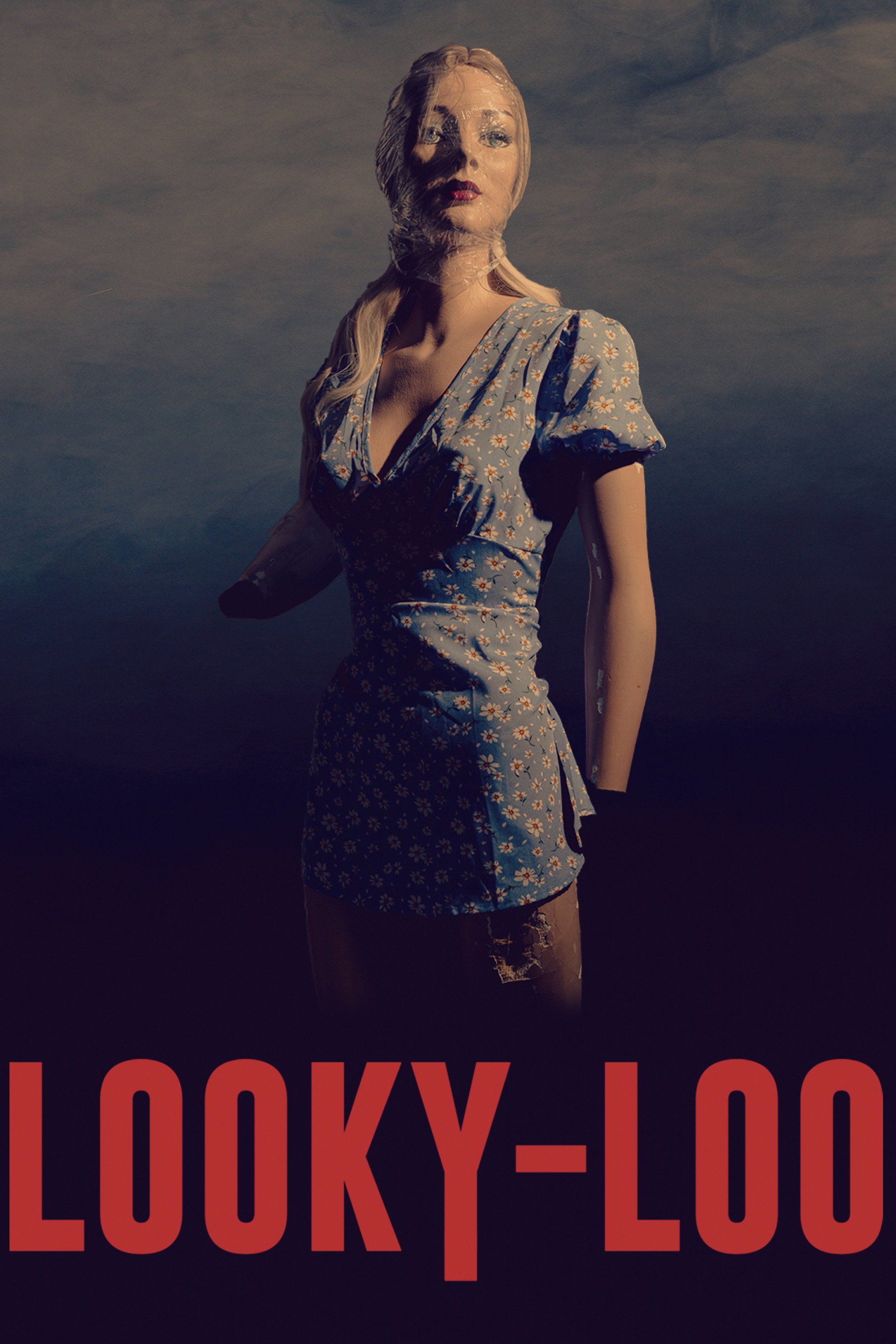 Looky-Loo