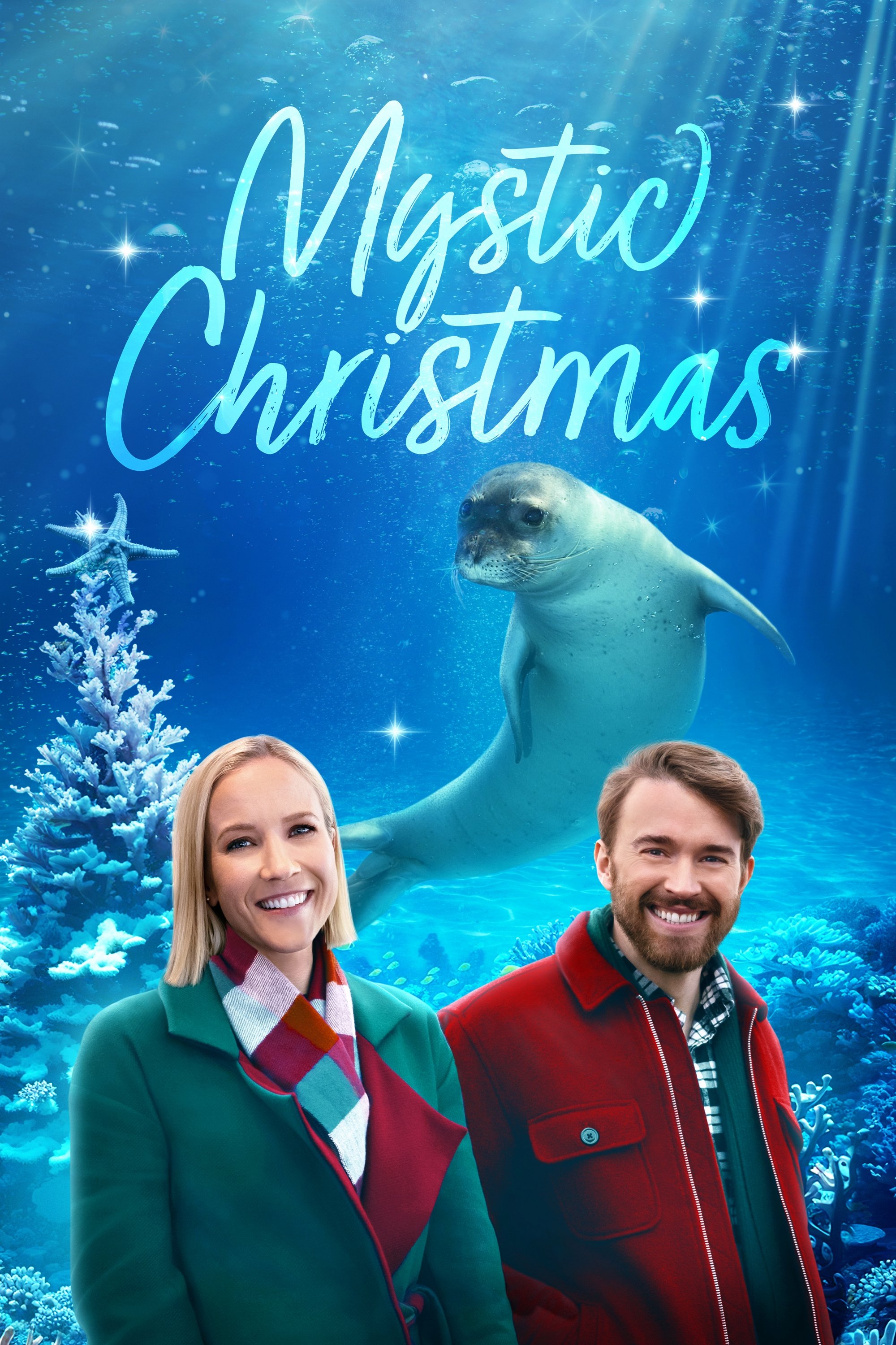 Seaside Christmas – Ein Seehund zum Fest