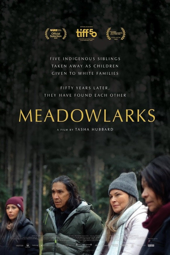 Meadowlarks