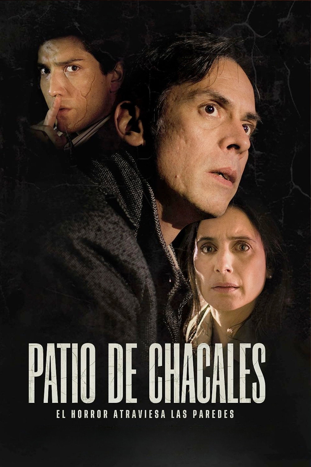 Patio de chacales