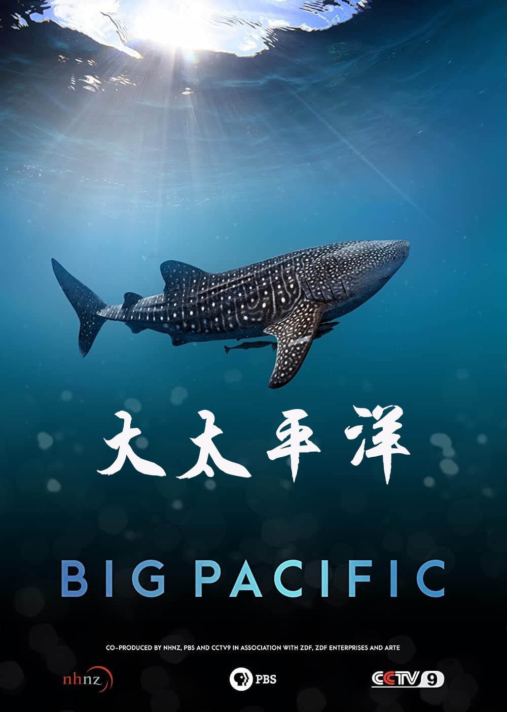 Big Pacific
