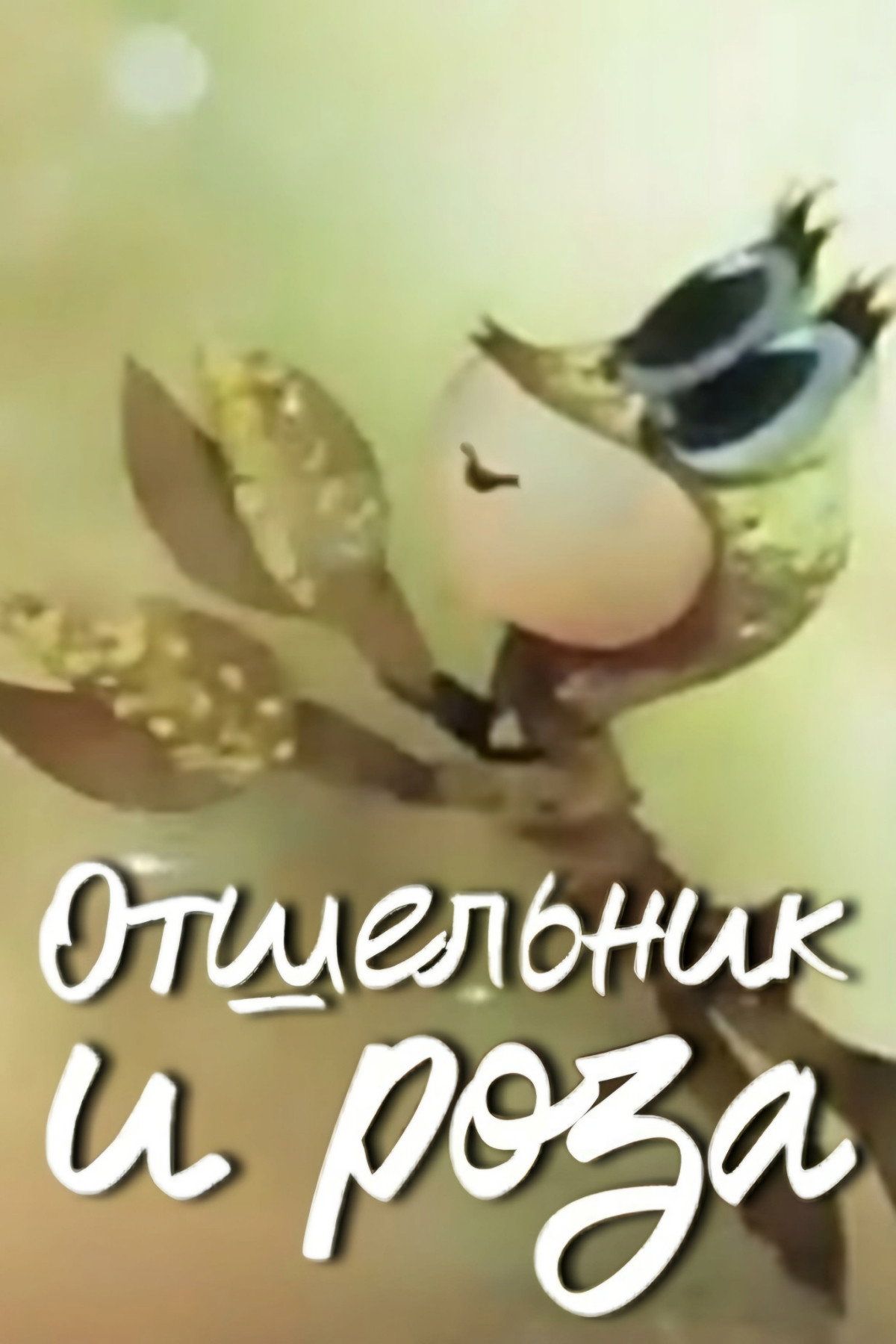 Отшельник и роза