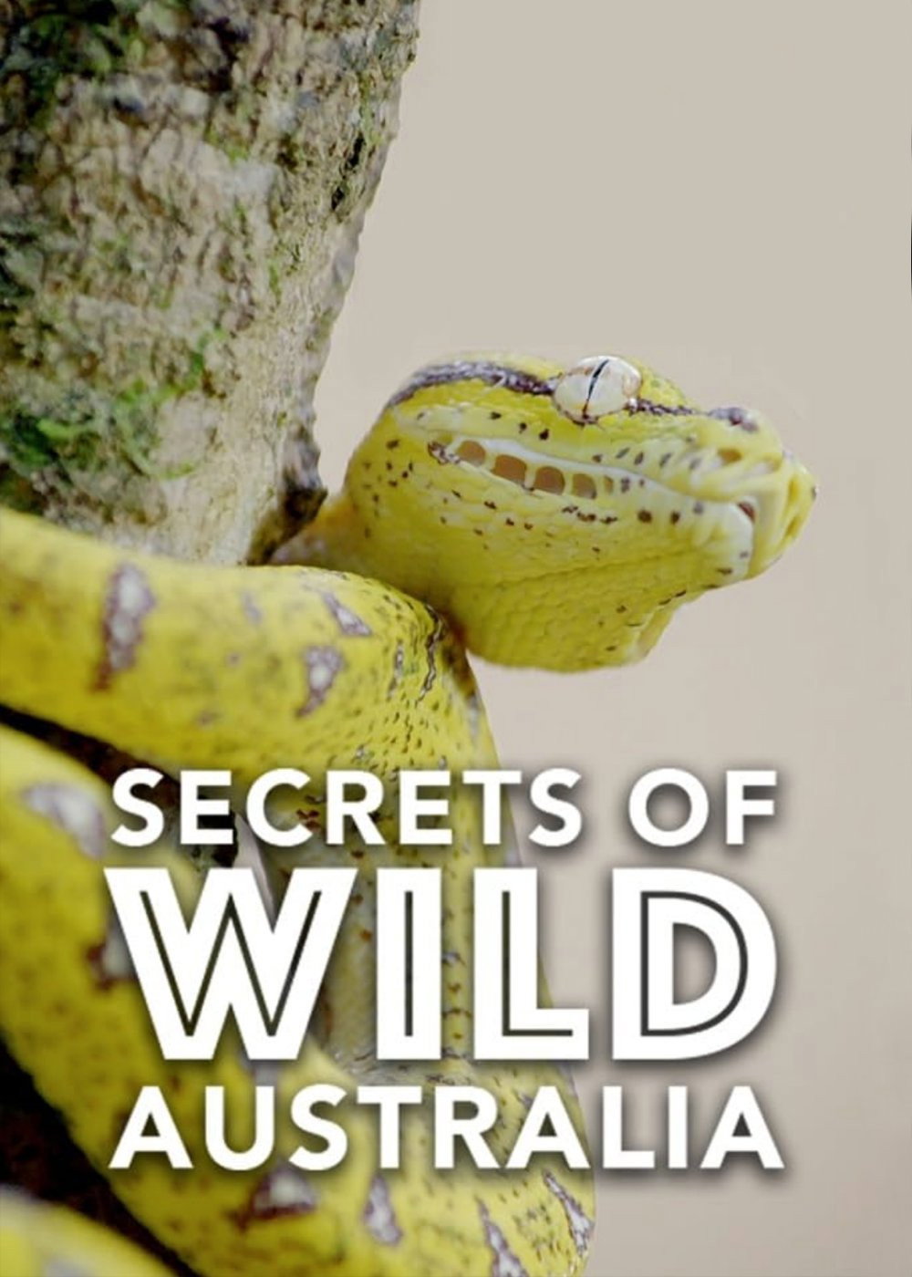 Secrets of Wild Australia