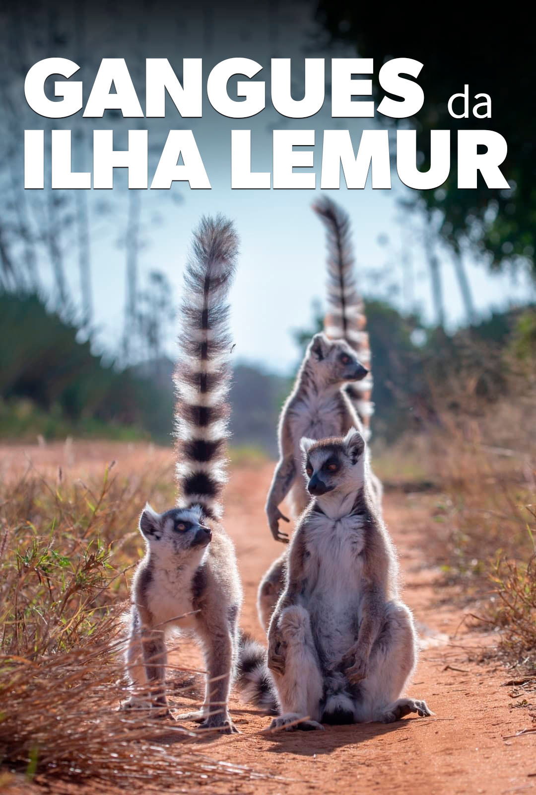 Gangs of Lemur Island