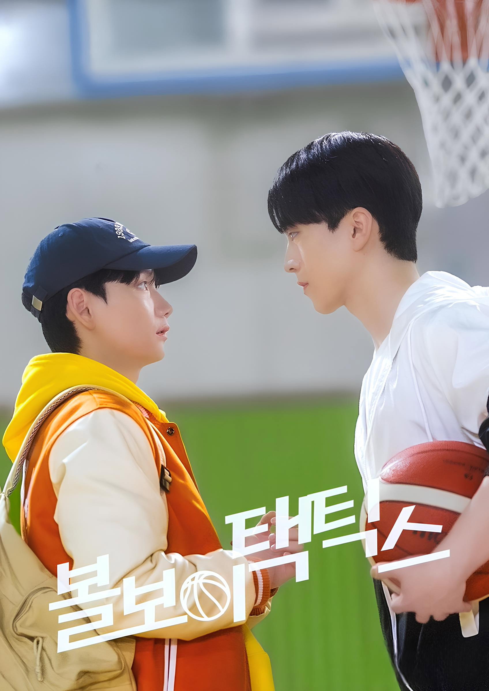 볼보이 택틱스