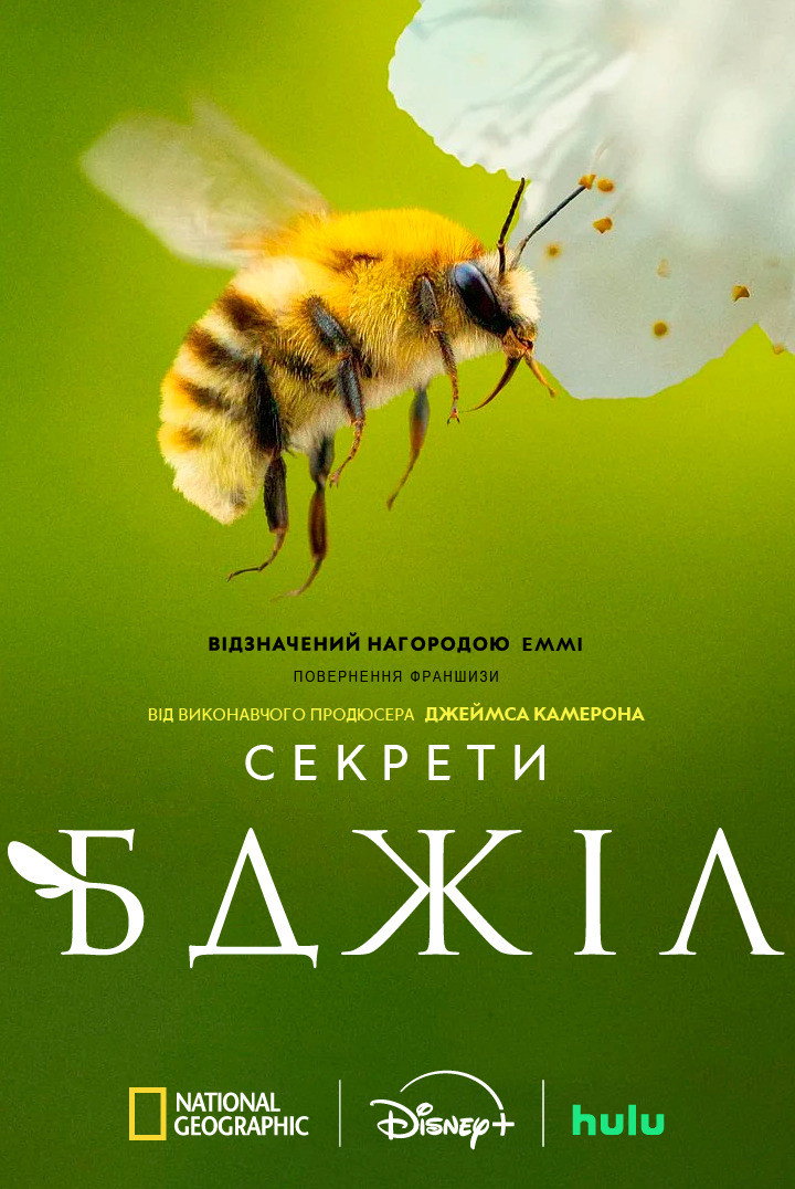Секреты пчёл