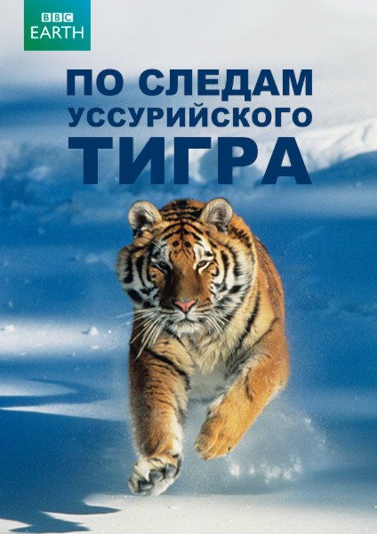 Operation Snow Tiger