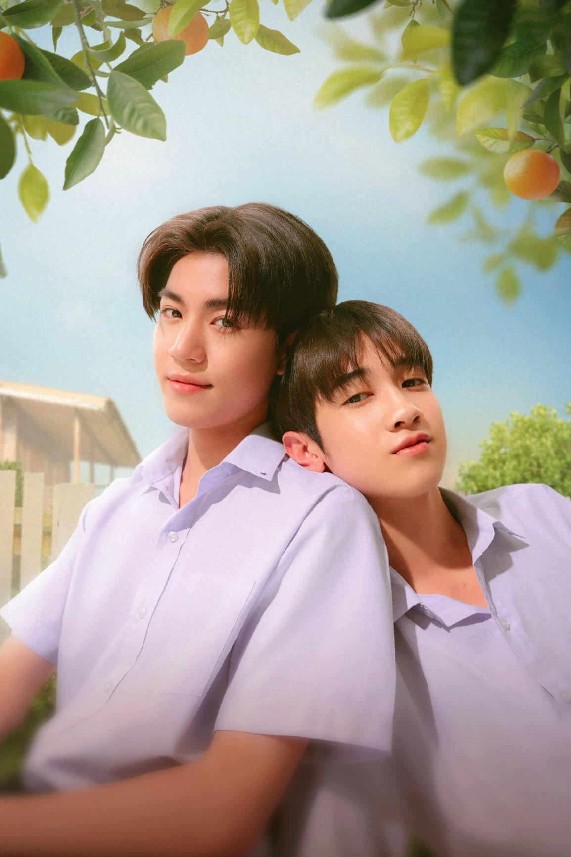 ต้นส้มบ้านเขา แต่ผลส้มหล่นมาบ้านเราตลอดเลย