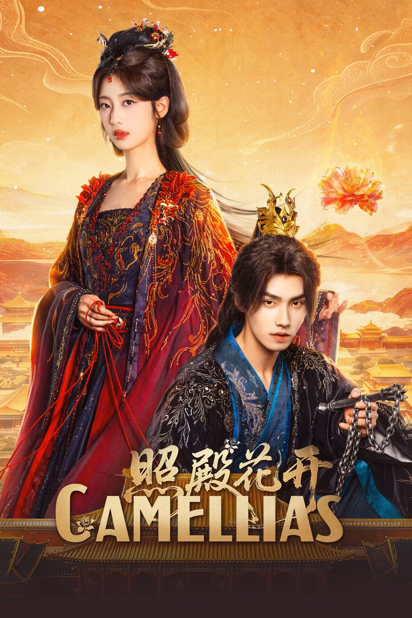 照殿花开