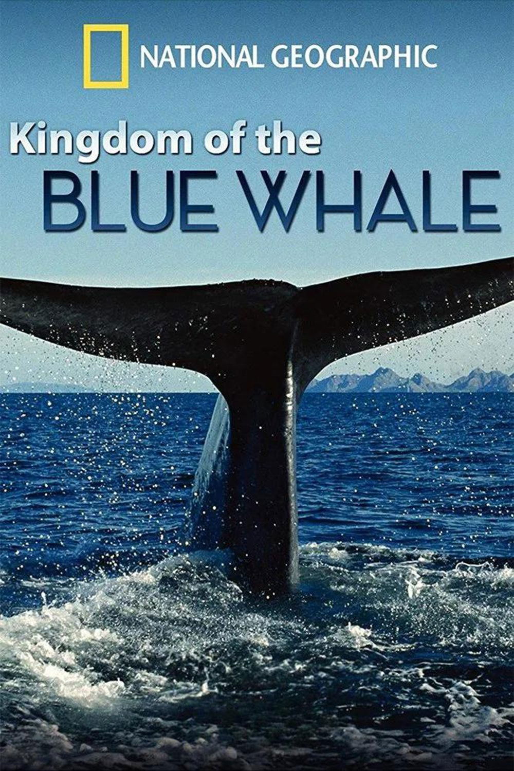 Im Reich des Blauwals