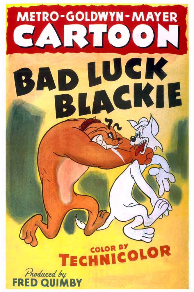 Bad Luck Blackie