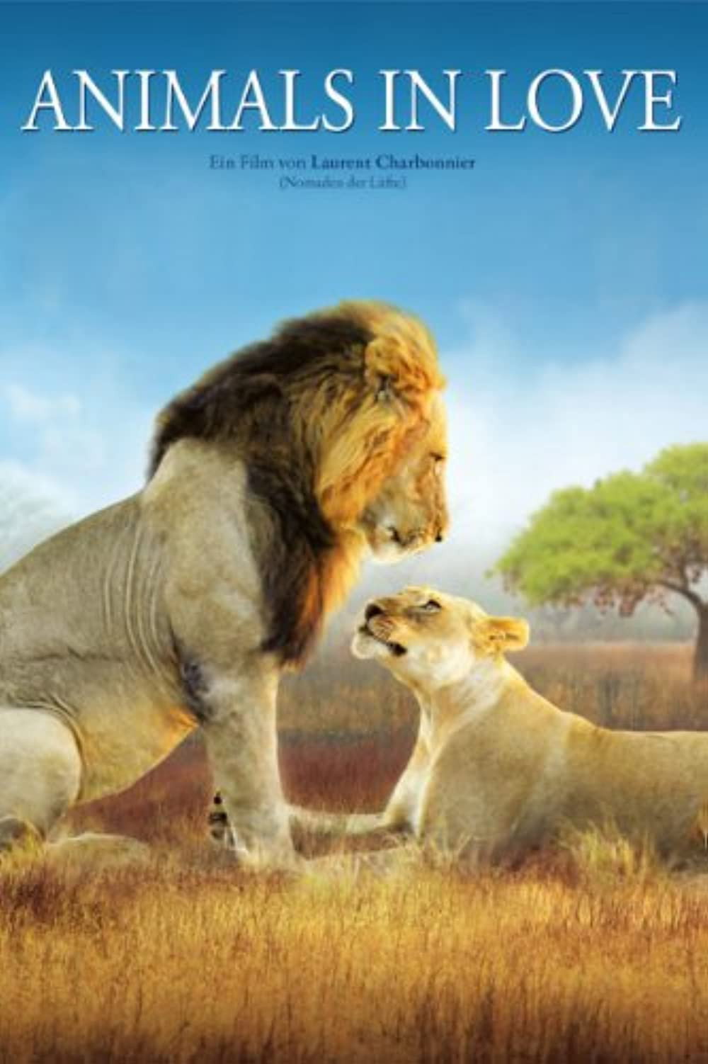 Animals in Love - Tierisch verliebt