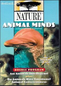 Animal Minds
