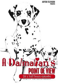A Dalmatians Point of View