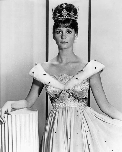 Lesley Ann Warren: A Cinderella Story