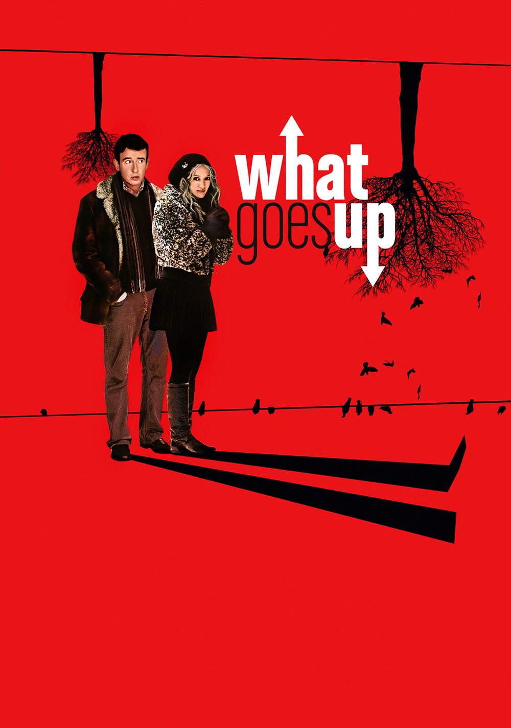 What Goes Up