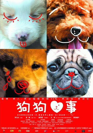 All About My Dog