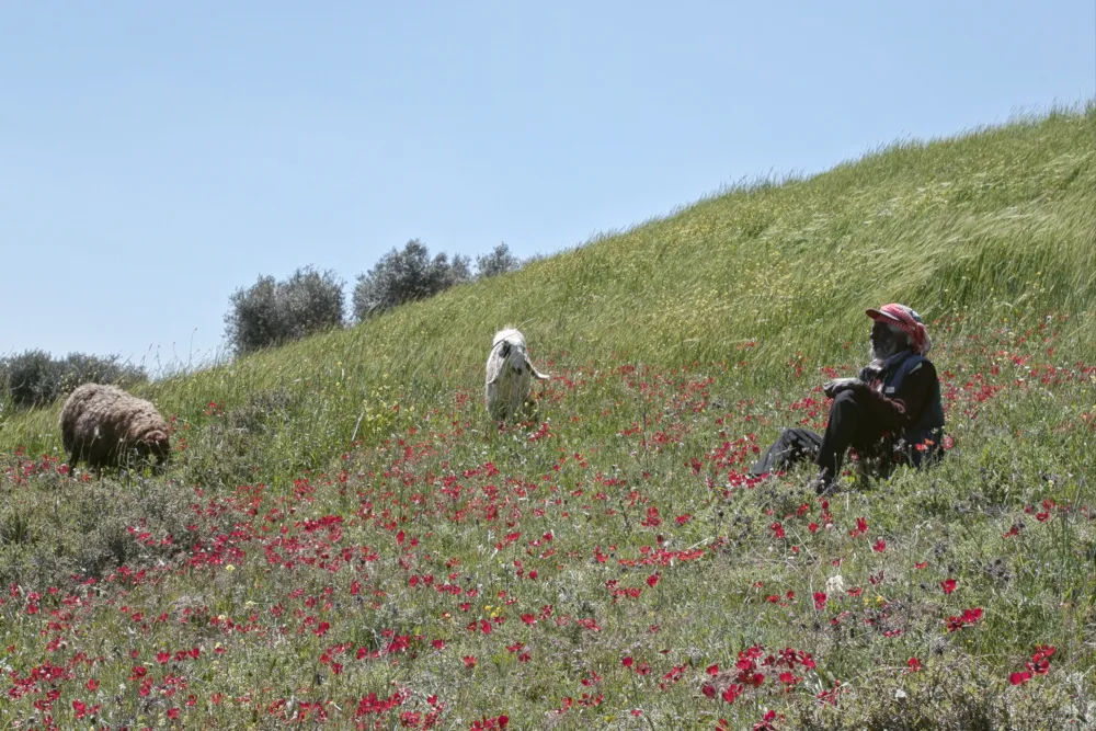 Odd Slice Films Takes Worldwide Rights to Locarno Documentary 'Concrete Land'