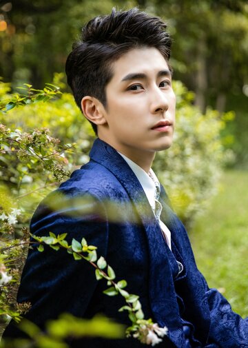 Lin Fengsong