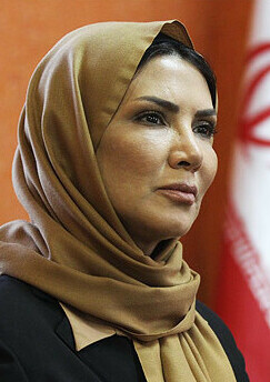 Mahshid Afsharzadeh