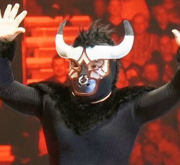 Mascarita Dorada