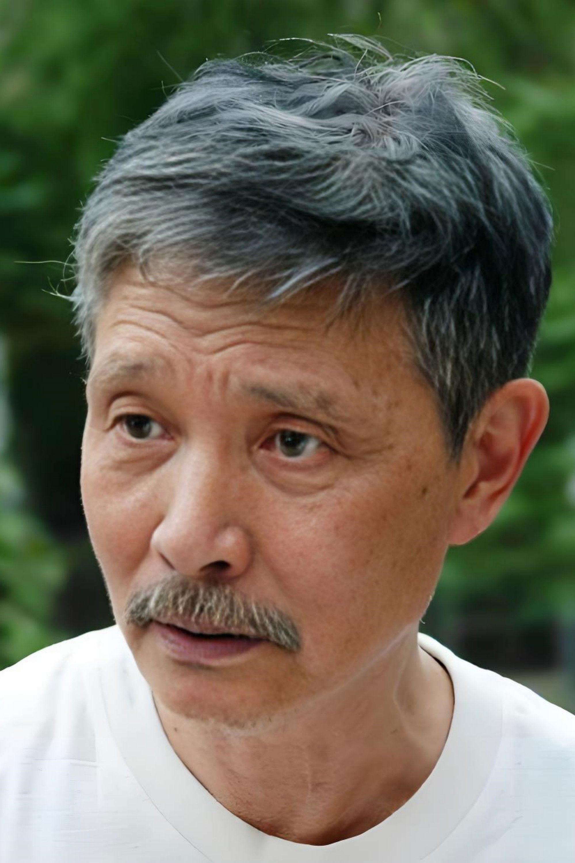 Lian Shuliang