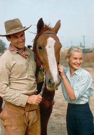 Don Murray