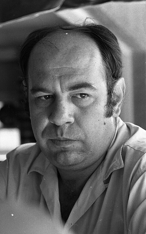 Амнон Мескин