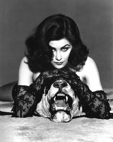 Sherilyn Fenn