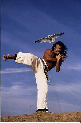 T.J. Storm