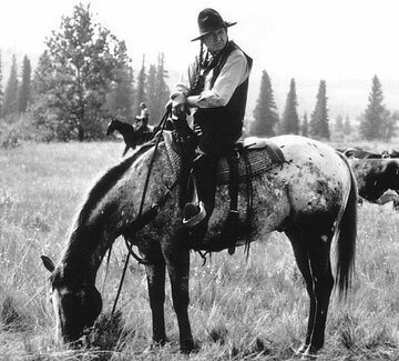Gordon Tootoosis