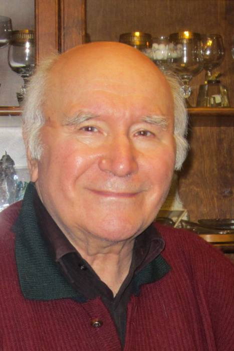 Vladislav Kladnitskiy