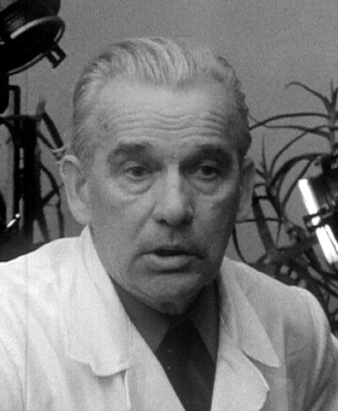 Jan Calábek