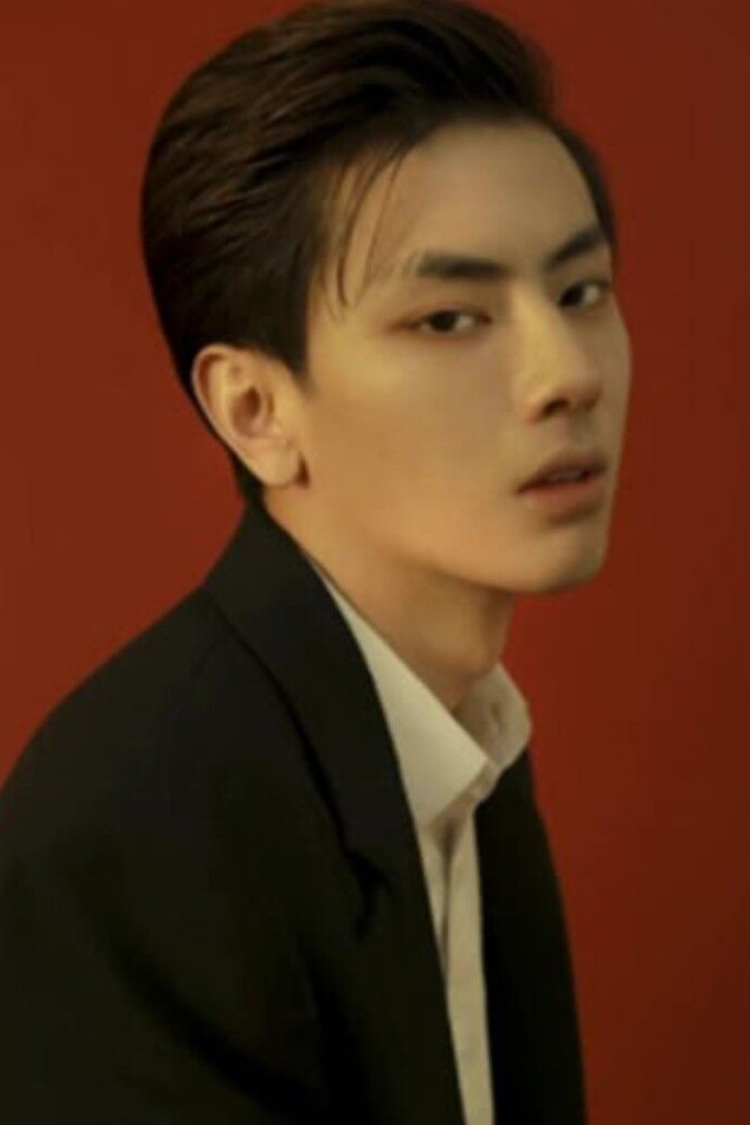Han Jihui