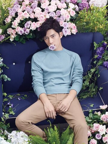 Jing Boran